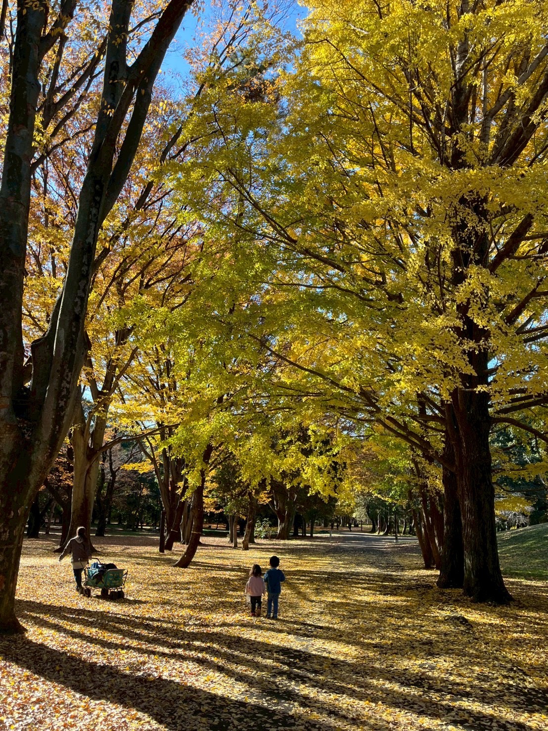 小金井公園の季節の風景